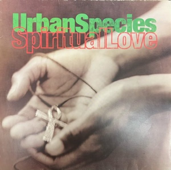 画像1: Urban Species / Spiritual Love  - UK Press - (1)