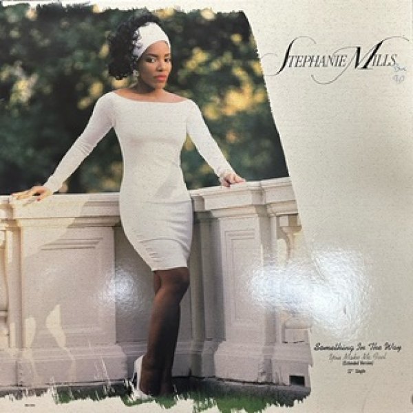 画像1: Stephanie Mills / Something In The Way - US Press - (1)