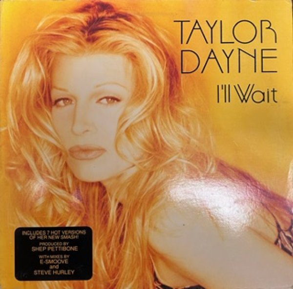 画像1: Taylor Dayne / I'll Wait - W Pack US Press - (1)