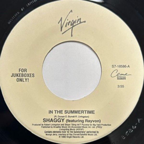 画像1: Shaggy / In The Summertime cw Boombastic - The Recommandable 7 Inch - (1)