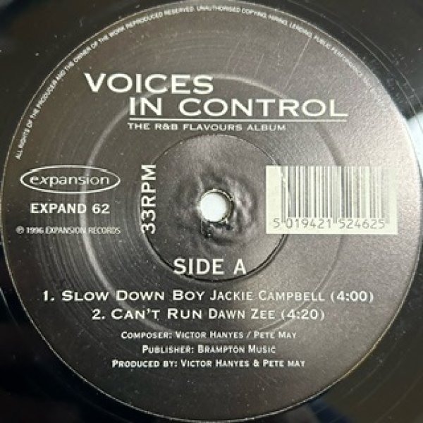 画像1: V.A. / Voices In Control - The R&B Flavours Album - (1)