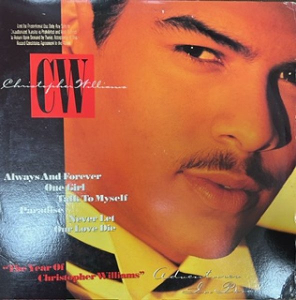 画像1: Christopher Williams / Adventures In Paradise  - LP - (1)