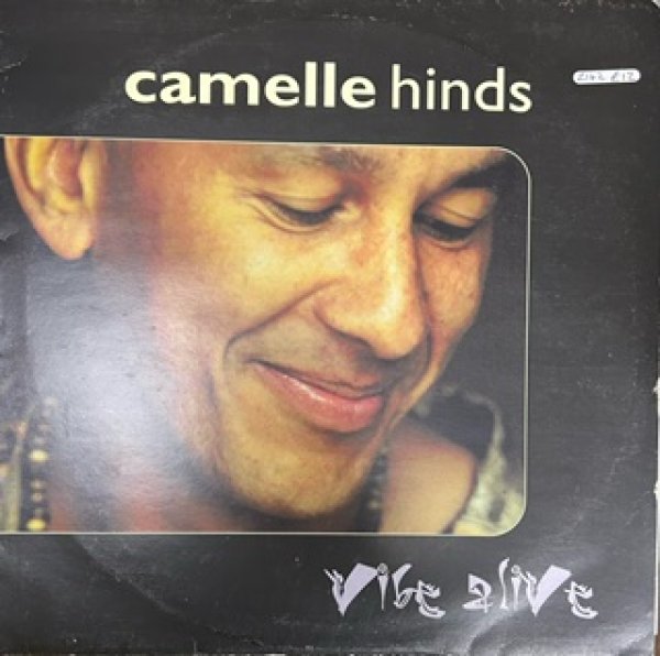 画像1: Camelle Hinds / Vibe Alive - The Recommendable LP  - (1)