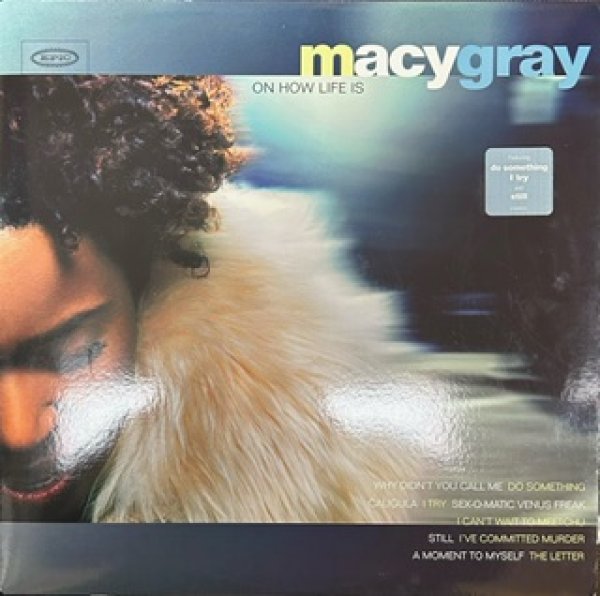 画像1: Macy Gray / On How Life Is - The Recommandable LP -  (1)