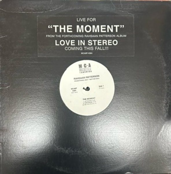 画像1: Rahsaan Patterson / The Moment - US Promo Only - (1)