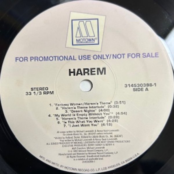 画像1: Harem / Harem - US Promo Only LP Rare New Jack Swing !!! Motown Promo - All That U Need (1)