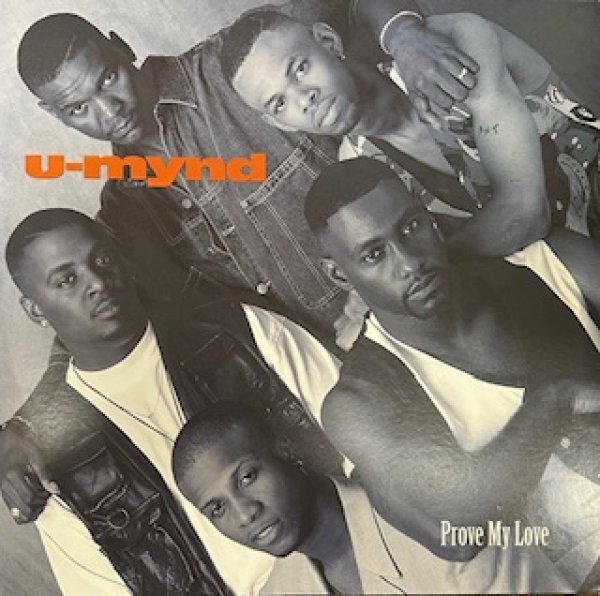 画像1: U - Mynd / Prove My Love - Rare New Jack Swing LP -  (1)