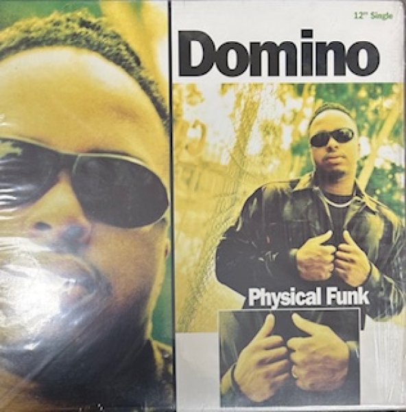 画像1: Domino / Do You Qualify cw Physical Funk - US Press - Gangsta Rap (1)